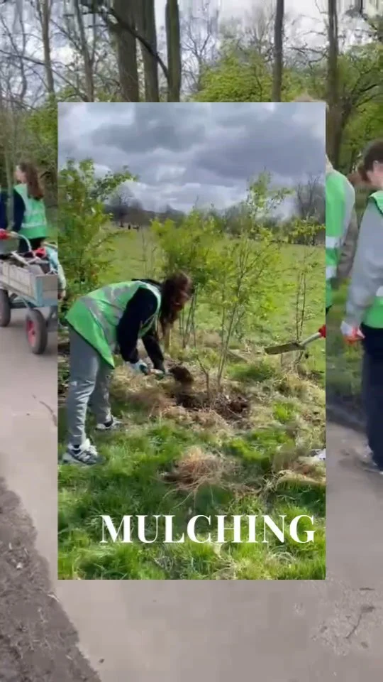 Aha honey.... Mulching is SUPER important in preparation for warm summers, as it helps the soil at the foot of our new trees and shrubs retain moisture 💦

Big thanks to our D of E squad - superstars!!!