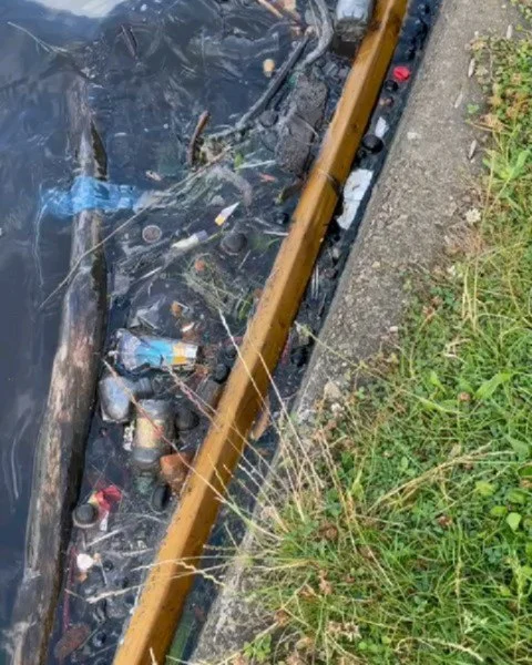 BEFORE > AFTER

@skermarta spent the morning cleaning up long pond, a nice clean environment for the new ducklings 🦆

#claphamcommon #cleanup #pollution #plastic #dontlitter #london #londonpark #keepclean