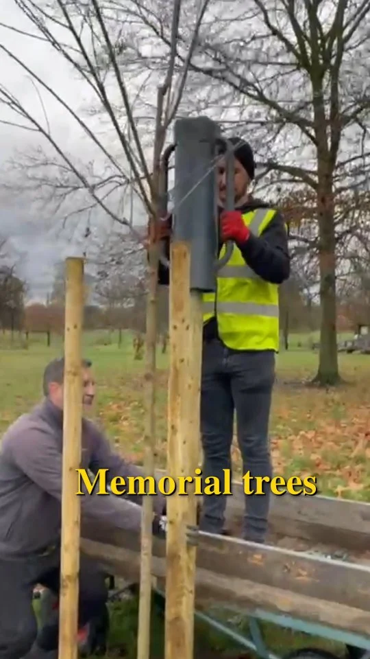 The team planting memorial trees this morning, securing them with three posts and an organic tie to hold and support the trunk which will be left in place for at least a couple of years.

A memorial tree is a special way to remember a loved one and can be organised through the Friends