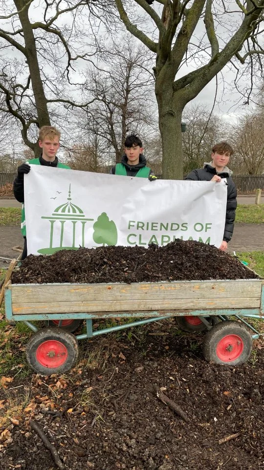 Great work this morning by our Duke of Edinburgh students!

They mulched around the grove of 9 young silver birch trees behind Nursery Woods and they finished mulching around the new hedge in the Little Children’s playground on Battersea Rise side. 

This is improving growing conditions by nutrients to the soil and providing a protective layer to allow the ground to retain moisture - not an immediate problem with all this rain! Thank you for a really good session!

🌿🍁🍃🍂