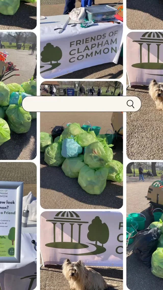 We had a busy litter pick yesterday with lots of families joining in to help us keep our Common clear of litter. 

A beautiful sunny morning to be out and a great effort.

Thank you everyone! 👏👏

#litterpick #keepingtidy #litter #london #clapham #claphamcommon #thankyou